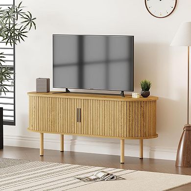 47.2" TV Stand with Sliding Door & Storage