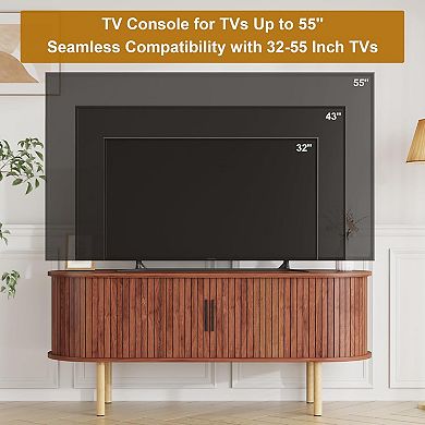 47.2" TV Stand with Sliding Door & Storage