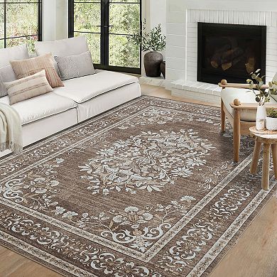 Washable Area Rugs Soft Low Pile Mat Indoor Doormat Entry Rug Anti Slip Backing Rugs