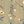 Olive Ivory Floral