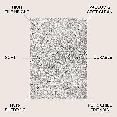 Aydin Solid Plush Shag Area Rug