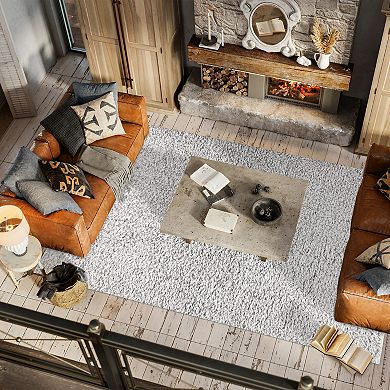 Aydin Solid Plush Shag Area Rug