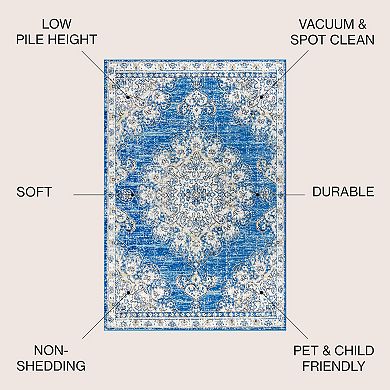 Leann Bohemian Flair Boho Vintage Medallion Area Rug