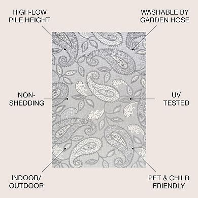 Julien Paisley High-low Indoor/outdoor Area Rug