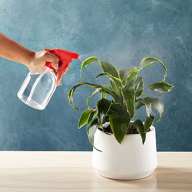 6 Pack 16oz Plastic Trigger Sprayer Bottle for Watering Plant Household Cleaning