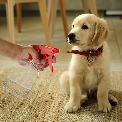 6 Pack 16oz Plastic Trigger Sprayer Bottle for Watering Plant Household Cleaning