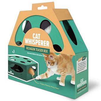 Cat Whisperer Hexagon Teaser Box Cat Toy