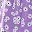 Purple Flower