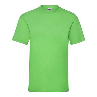Fruit Of The Loom Mens Valueweight T-Shirt