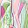 Green Pink