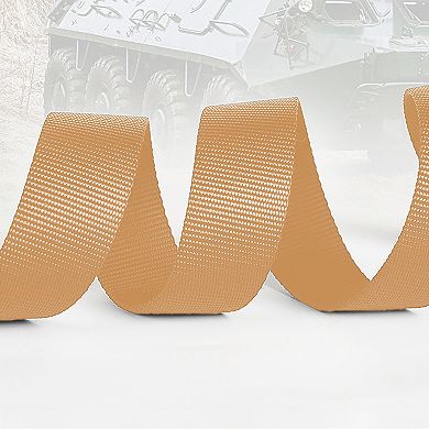 Women's Nylon Waist Belt with Statement D - Ring Buckle