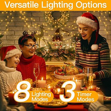 Ollny 800 LED 262ft Warm White String Lights Green Cable