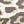 Leopard Black