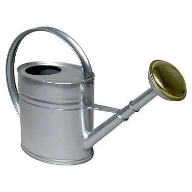 Discover Europe Made in Turkey Aras Metal Watering Can