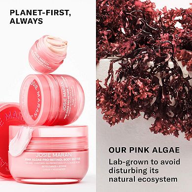 Pink Algae Pro-Retinol Body Butter for Anti-Aging and KP