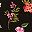 Black Ditsy Floral