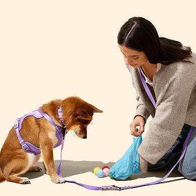 The Store Extra Thick Leak Proof Unscented Dog Poop Bags