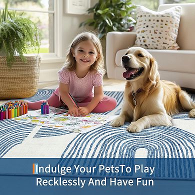 Modern Geometric Area Rug Low Pile Machine Washable Non Slip Floor Rug for Bedroom Kitchen Laundry