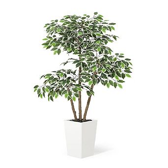 Tall Faux Ficus Tree with White Planter, 3 Natural Trunks & White-Edged Leaves, Floor Plant Decor