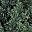 Green 3ft
