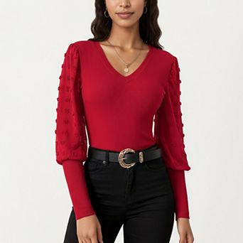 Women's Long Sleeve V-Neck Knit Top with Sheer Textured Balloon Sleeves
