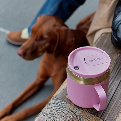 Contigo SnapSeal™ 14-oz. Leakproof Stainless Steel Water Bottle