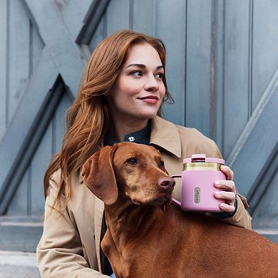 Contigo SnapSeal™ 14-oz. Leakproof Stainless Steel Water Bottle