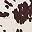 Brown Cow
