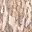 Bottomland