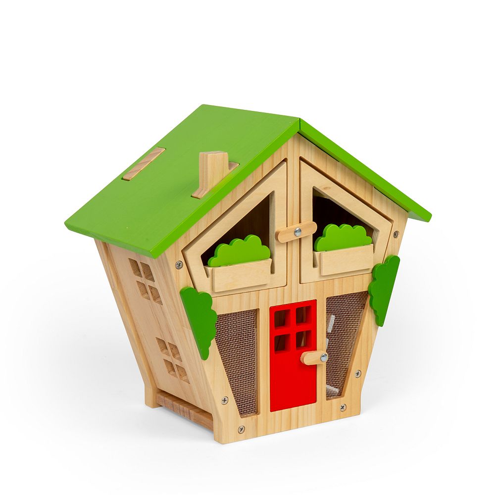 Bug House for Kids