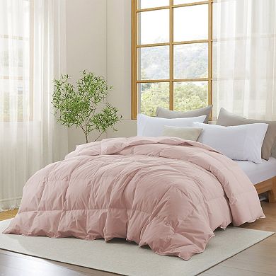 Puredown All Season Organic Cotton Down & Feather Comforter