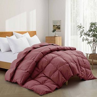 Puredown All Season Organic Cotton Down & Feather Comforter