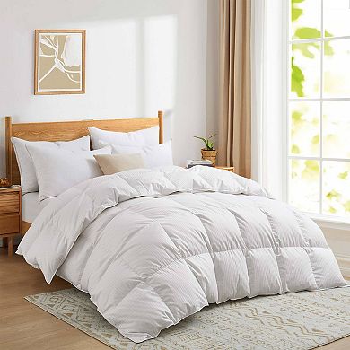 Puredown All Season 800 Fill Power European White Down Comforter Made in Germany