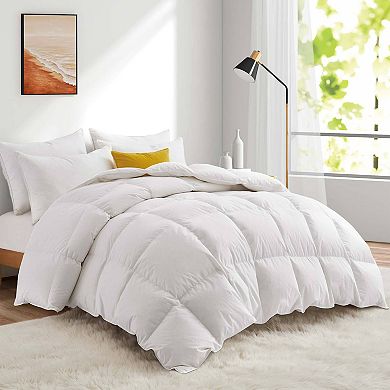 Puredown Made in Germany 800 Fill Power European White Down Comforter for Winter