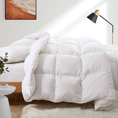 Puredown Made in Germany 800 Fill Power European White Down Comforter for Winter