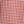 Small Red Check