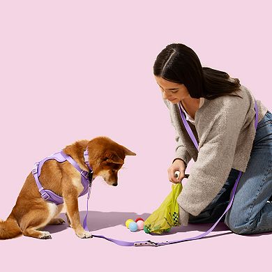 The Store Extra Thick Leak Proof Unscented Dog Poop Bags