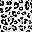 White Black Leopard