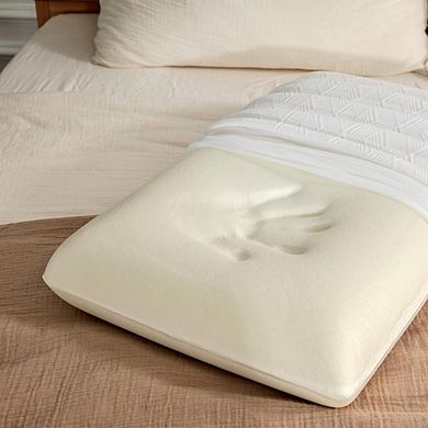 Fabibe Foam Pillow With Washable Removable Cover