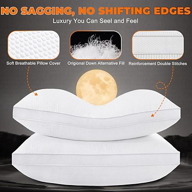 Fabibe Luxury Hotel Gusseted Comfortable Pillows