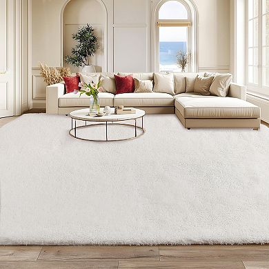 Fluffy Plush Shaggy Rug for Living Room Furry Fur Non Shedding Rug for Bedroom Playroom