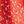 Aurora Red Ditsy