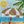Tropical