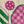Pickleball