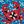 Sea Crab