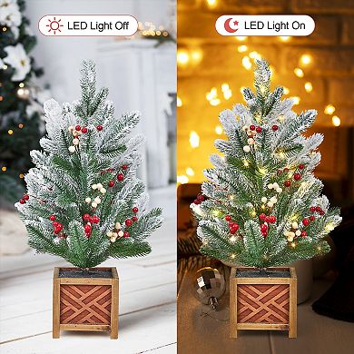 24 Inch Prelit Mini Christmas Tree with Lights
