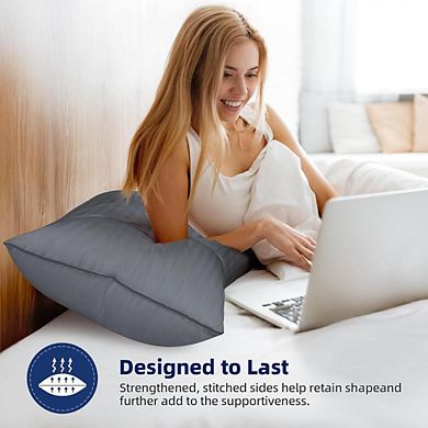 Fabibe Microfiber Luxury Hotel Pillows