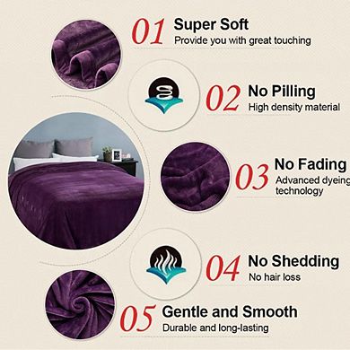 Fabibe Micro-Plush Thermal Fleece Blanket