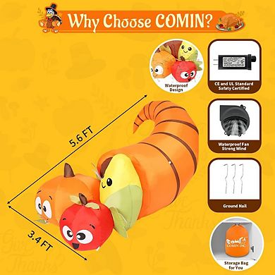 GOOSH 5.5 FT Long Thanksgiving Inflatables Fruit Combo with Built-in LEDs