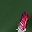 Dark Green Fly